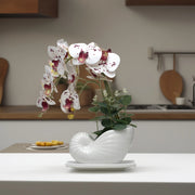 Seashell Orchids(White) - Flowers For Decor | White Flowers Decor | Shelves Decor